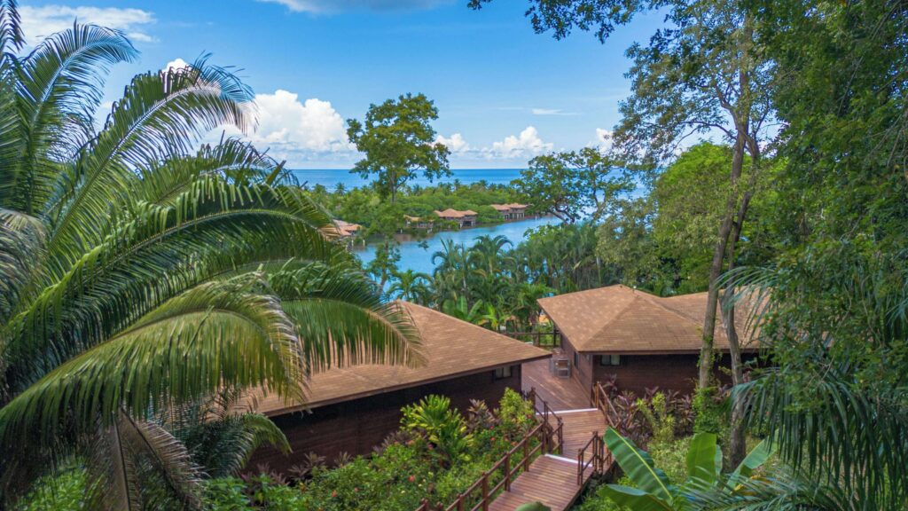 Looking across the leafy setting of Anthony's Key Resort in Roatan