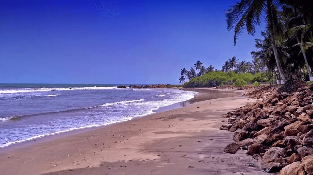 Palm trees fringe a beach in Kokrobite, one of the best places to surf in Ghana