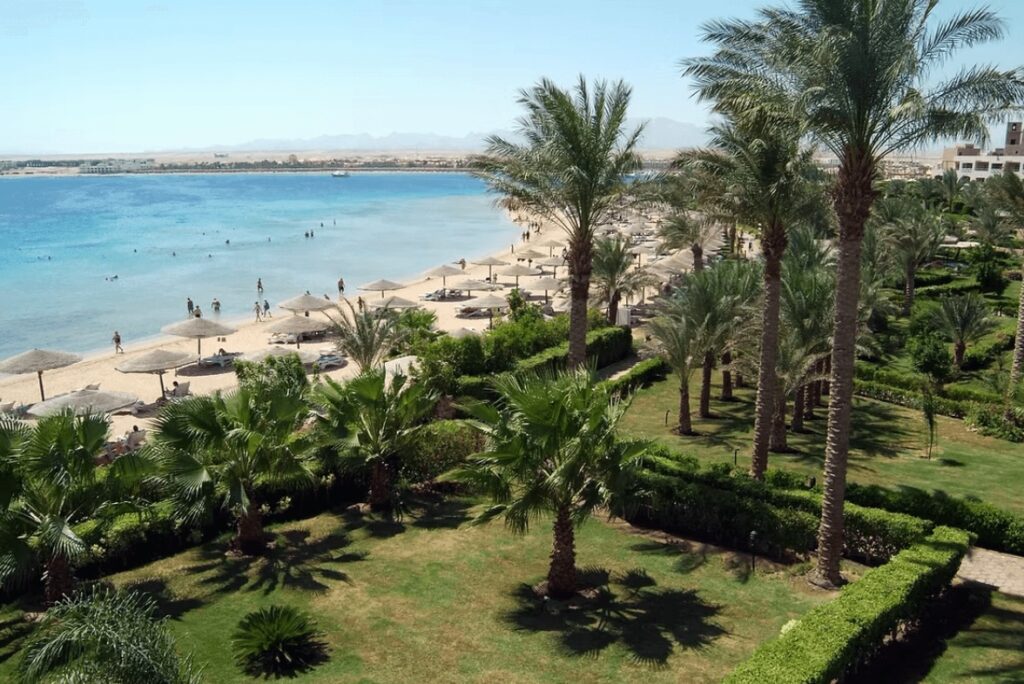 Palm trees tower above the beach at Fort Arabesque, an eco-friendly dive resort in Makadi Bay