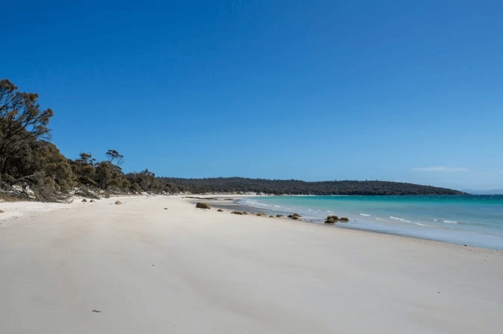 An idyllic white sand beach in Tasmania - one of the best places for cold water diving in Australia