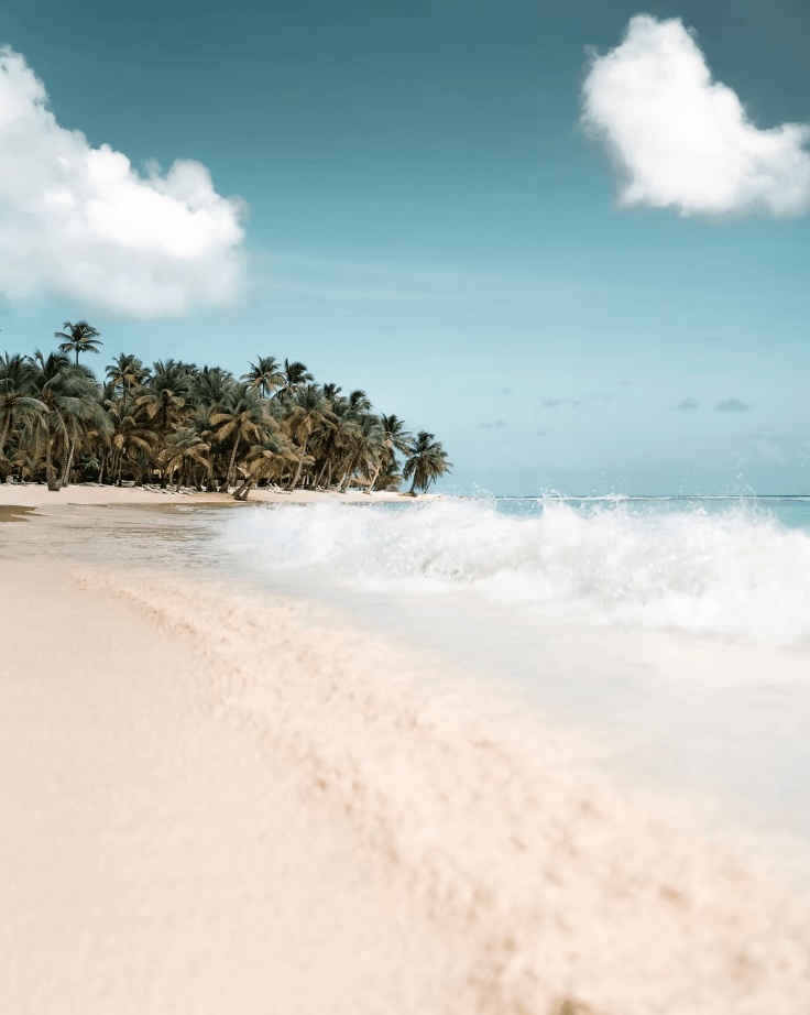 Best places to dive in the Caribbean + eco-friendly dive resorts