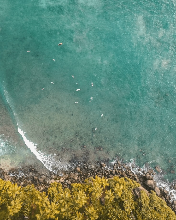 Best surf camps in Sri Lanka: An aerial view of surfers along the coastline