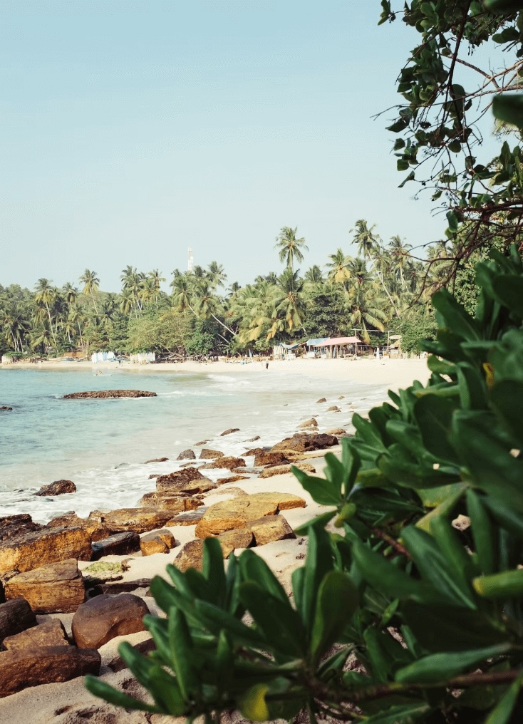 5 best surf camps in Sri Lanka for a sustainable stay