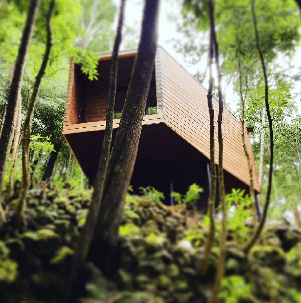 One of the elevated wooden cabins at the Caparica Azores Ecolodge, an eco-friendly hotel in Terceira 