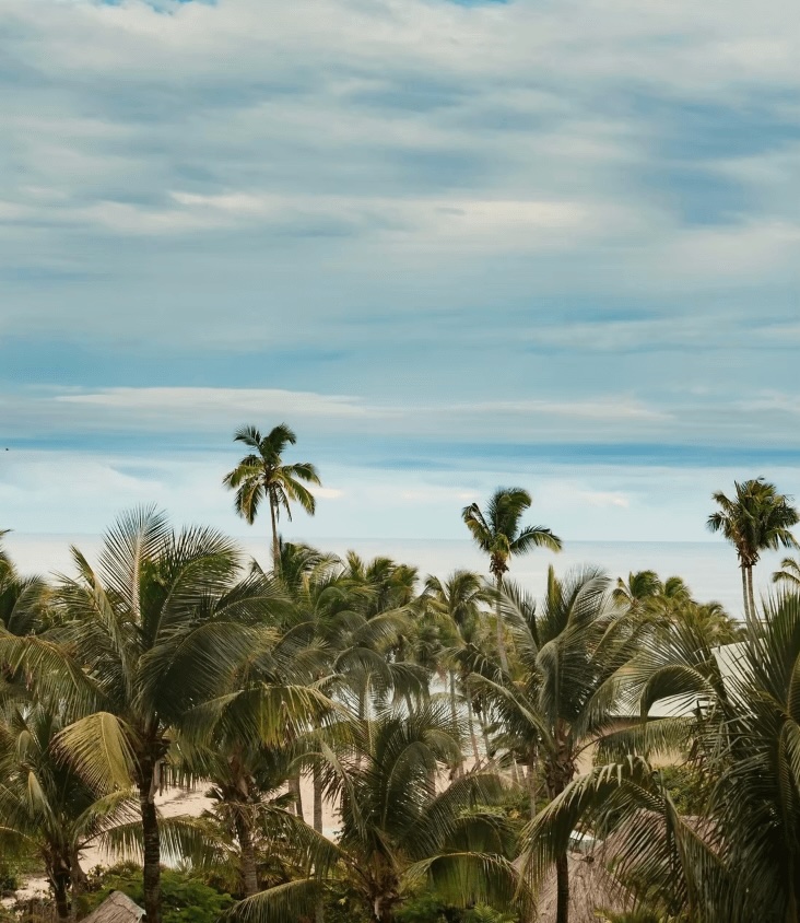 9 eco-dive resorts in Fiji for a sustainable scuba trip to Polynesia