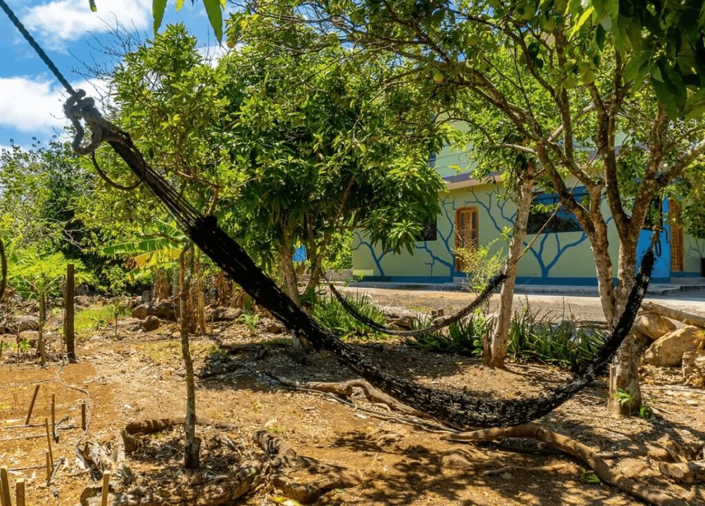 Hammocks in the leafy grounds of the Cucuve Eco Hostal in the Galapagos Islands