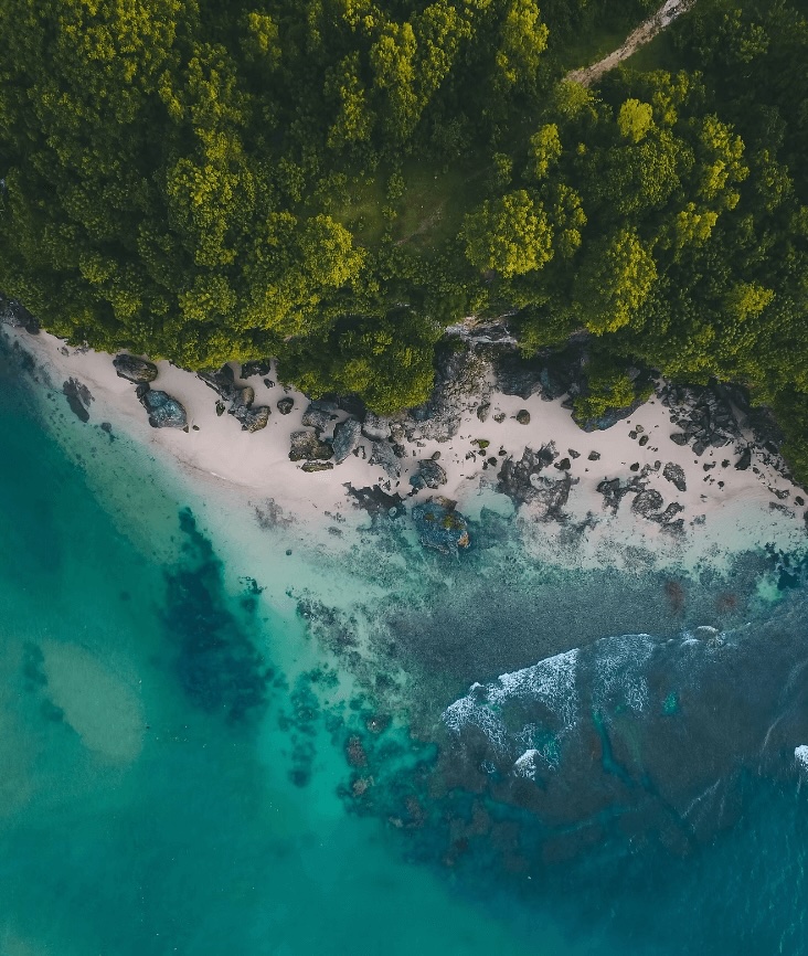 Best eco-friendly resorts in Bali for divers and surfers