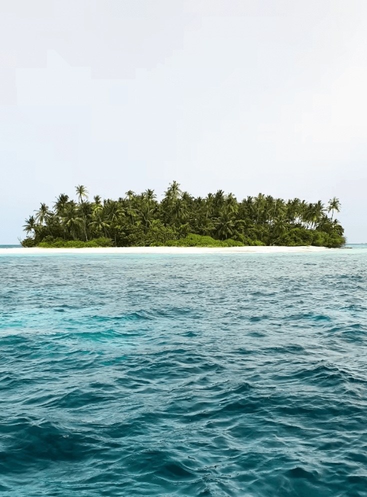 4 best eco-resorts in Fiji for a sustainable surf trip