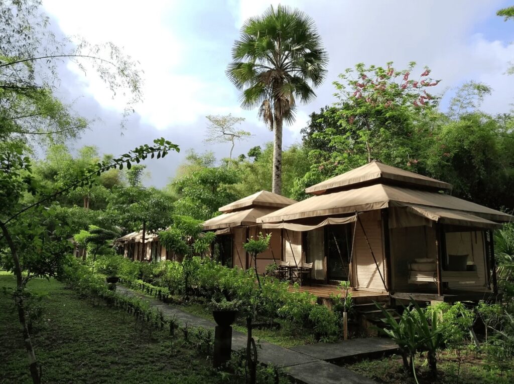 Luxury "glamping" tents at Java Jiwa G-Land - an eco-friendly surf resort in Indonesia 