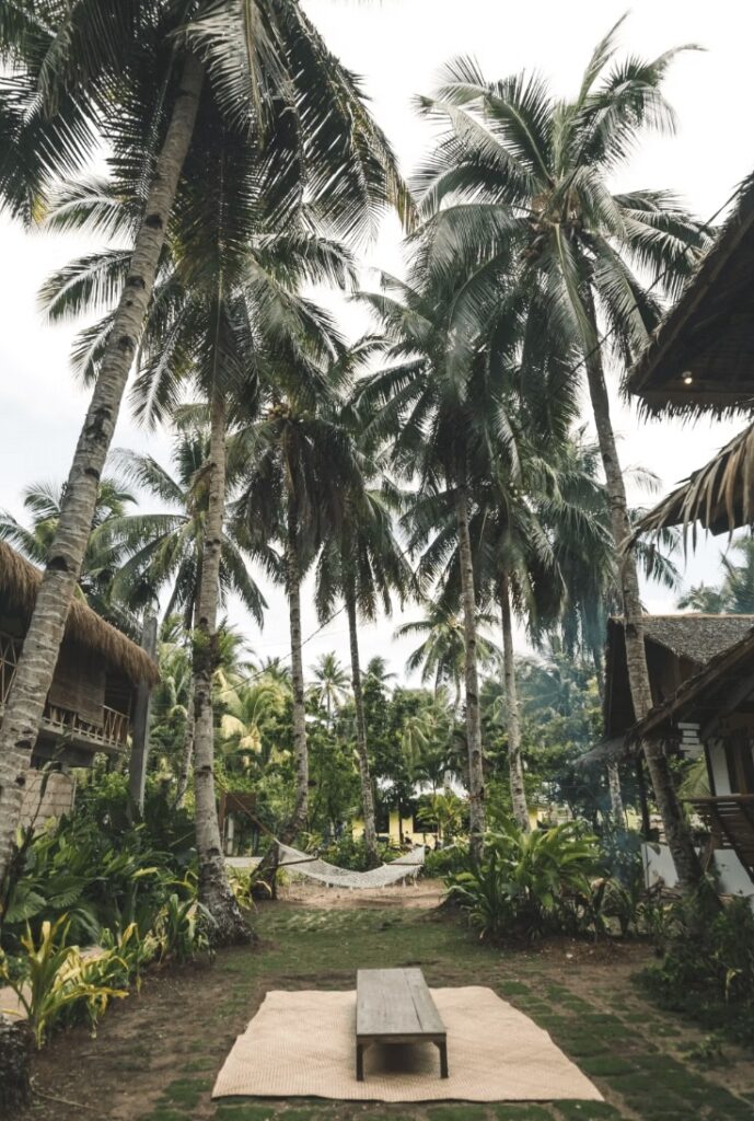 Palm trees dot the grounds of the Secret Spot Siargao Eco-Homestay