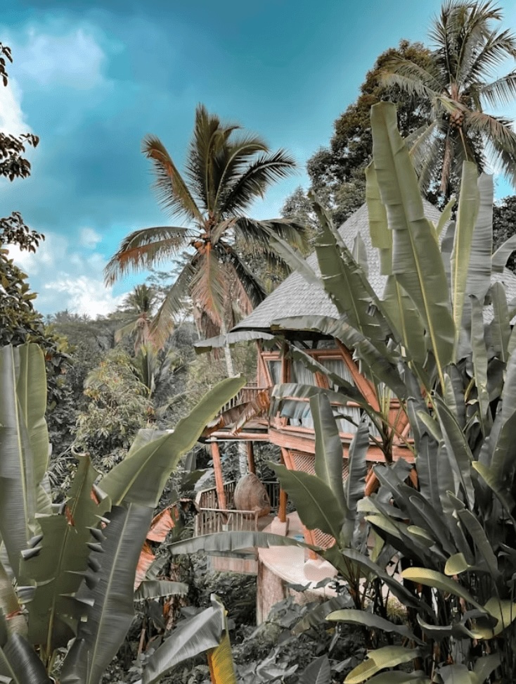 8 Green Fins dive resorts for a sustainable scuba vacation