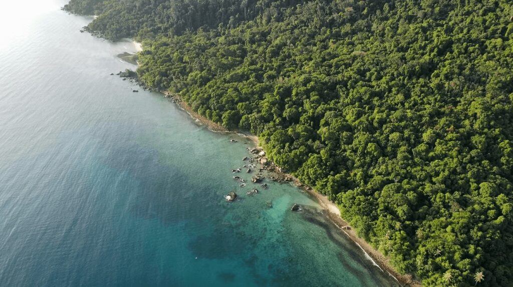 Green Fins dive resorts: An aerial view of Tioman Island off the coast of Malaysia