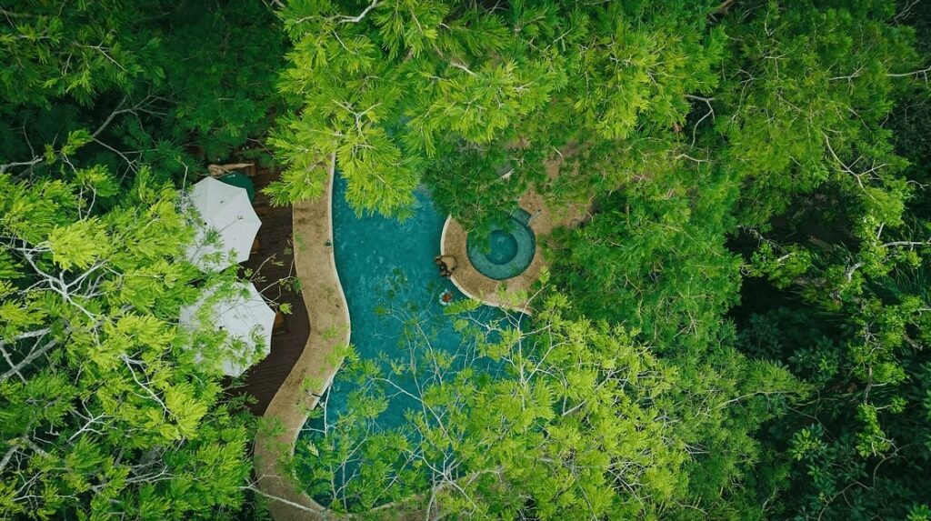 An aerial view of the swimming pool at Hotel Bosque Del Mar, an eco-friendly place to stay when diving the Bat Islands 