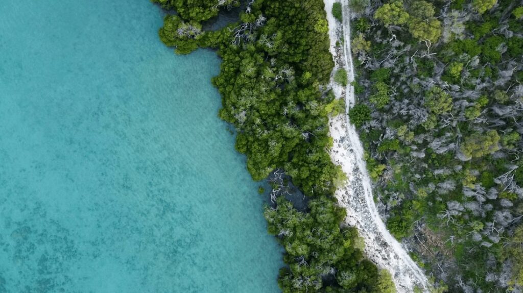 An elevated view of a dirt road along the Great Barrier Reef coastline