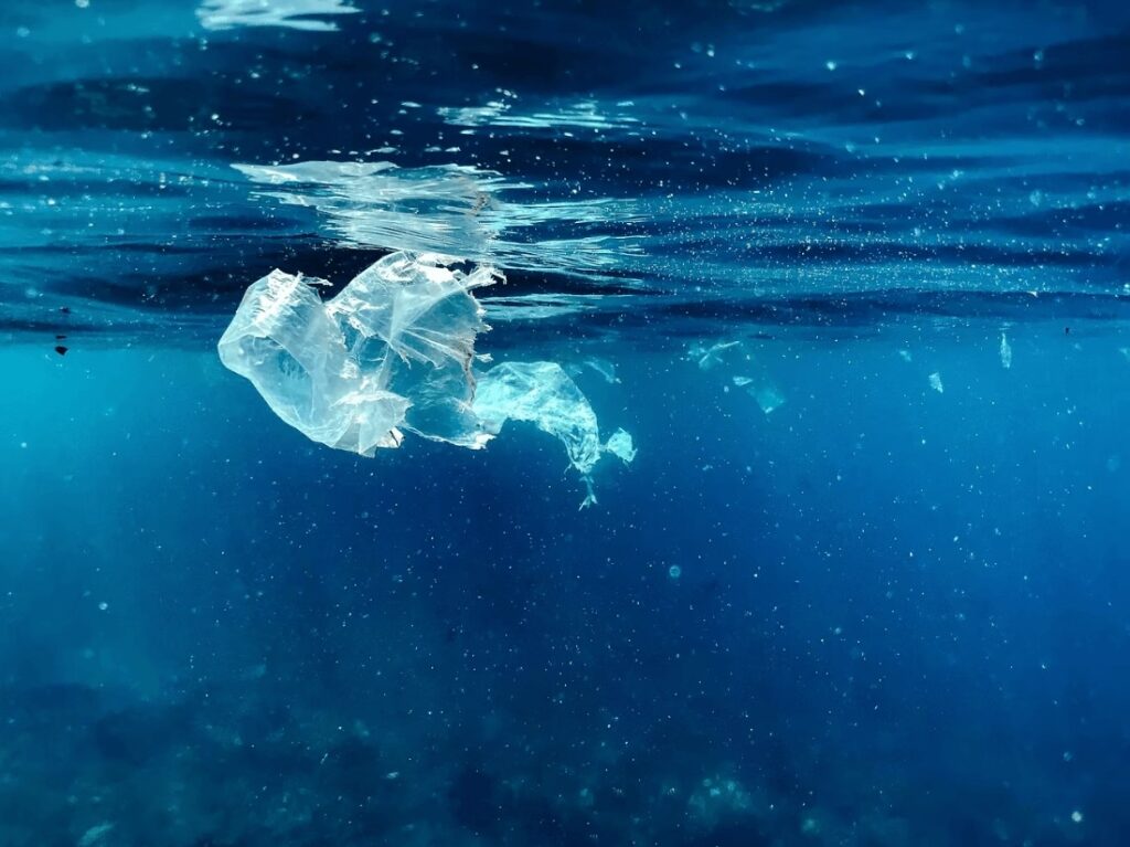 A disintegrating plastic bag floats at the ocean's surface