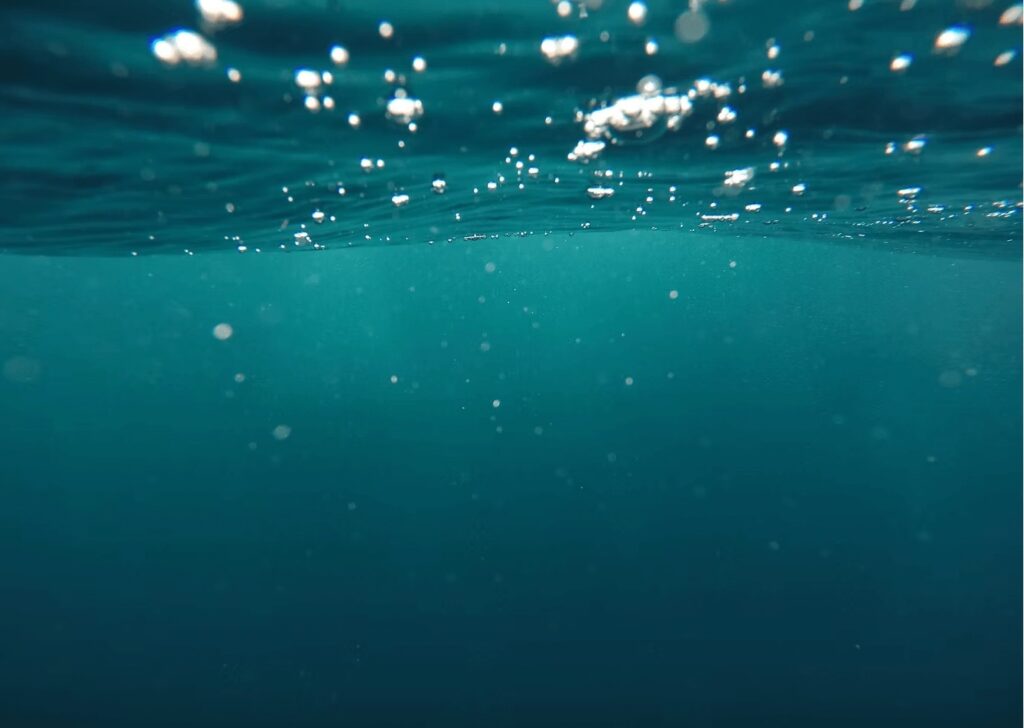 Marine conservation organisations to follow: Bubbles at the water's surface