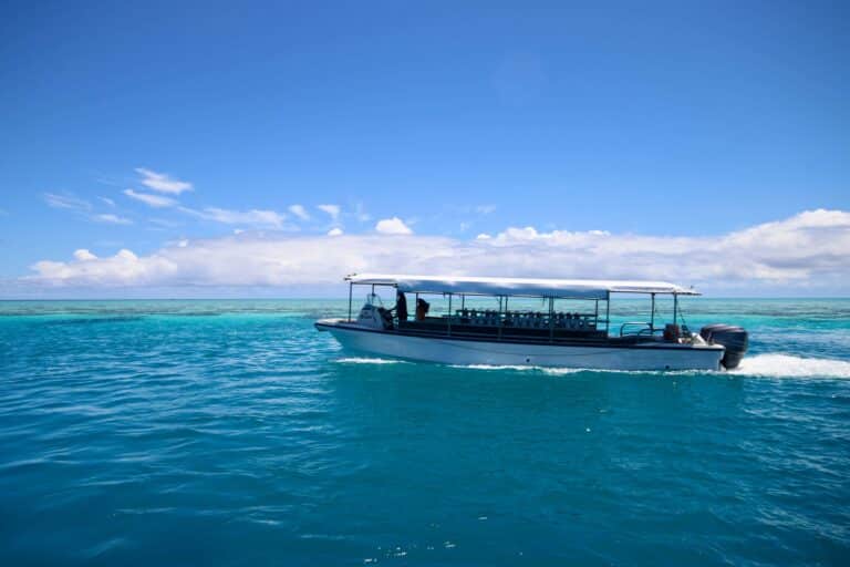 Scuba Diving in Palau: Highlights + Liveaboards vs Resorts