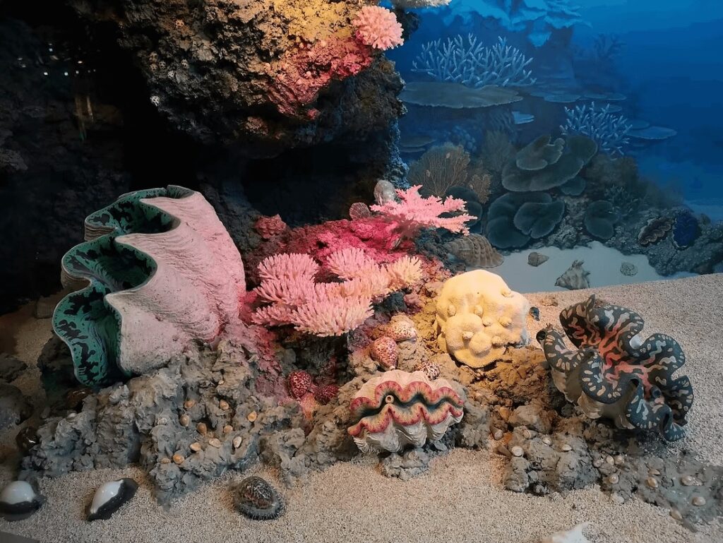 Hard and soft corals growing between giant clams on the Great Barrier Reef