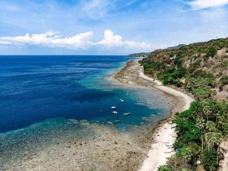 Scuba diving in Timor Leste: Best dive sites + eco-friendly resorts