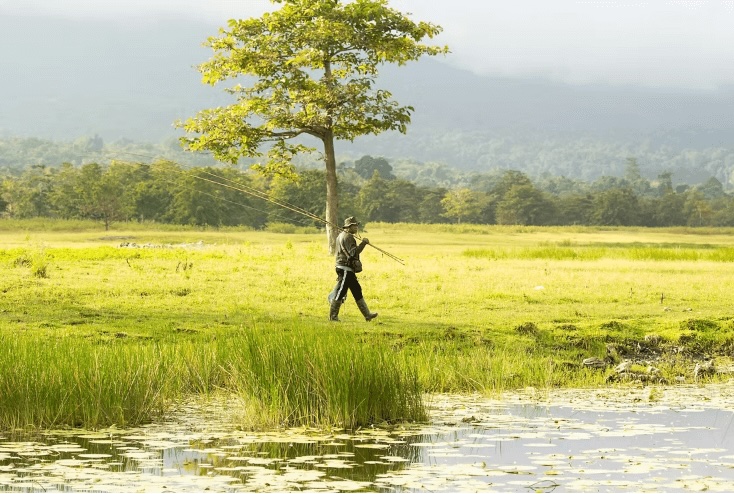Best diving in East Timor: A fisherman walking beside a reed-lined lake in Timor-Leste