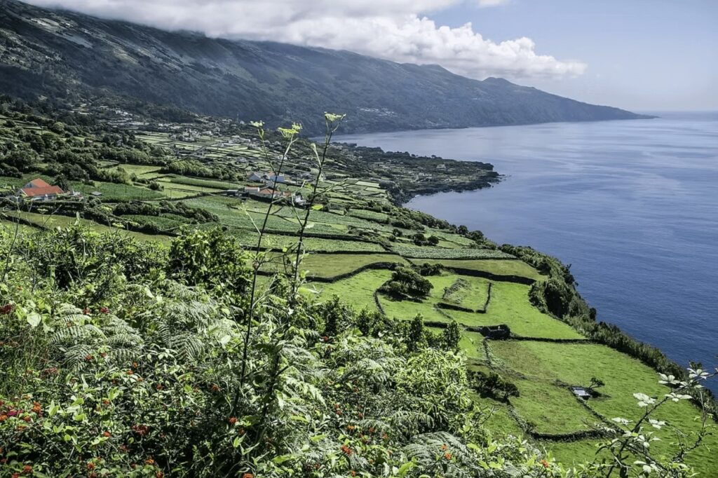 Best places to dive in the Azores Islands: Terraced fields descend to the ocean on Pico Island