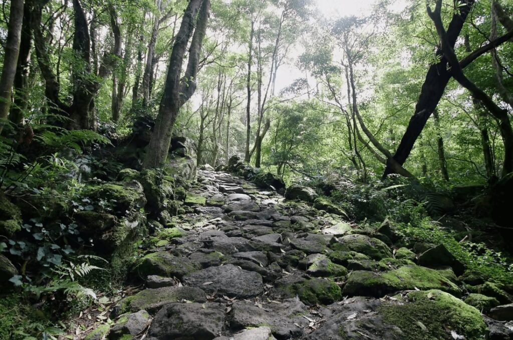 A stone-built hiking trail leads through a forest on Flores Island, Azores