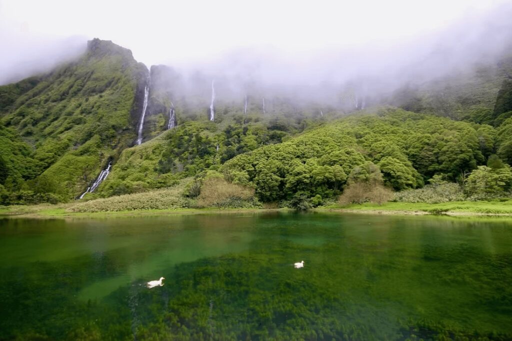Waterfalls tumble down the cliffs at Cascata da Ribeira do Ferreiro on Flores Island