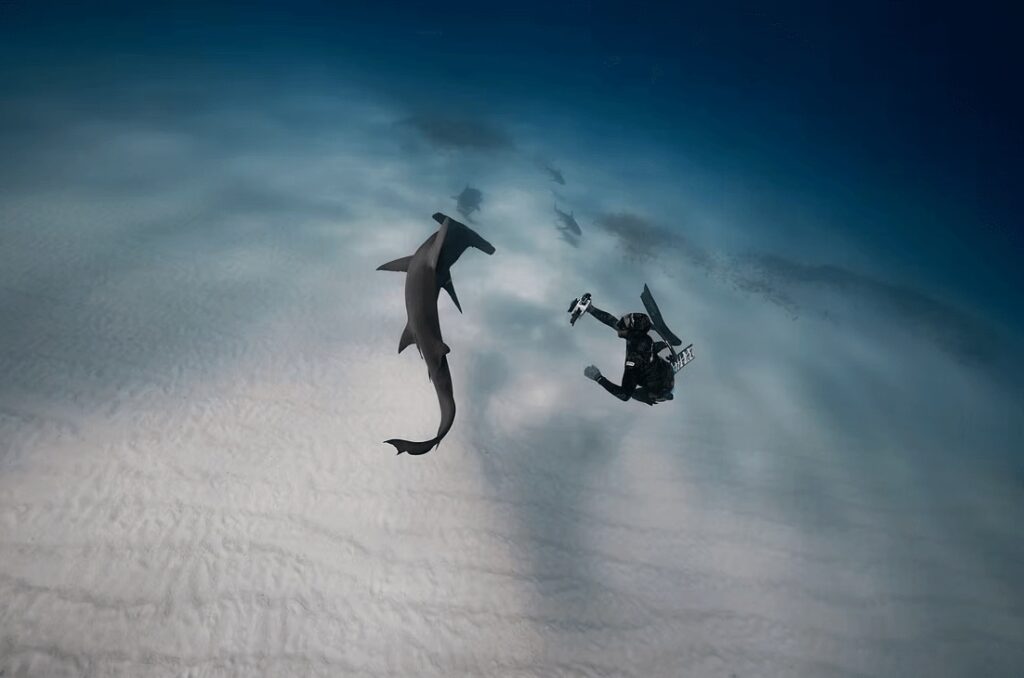 UNESCO dive sites: Encounter large pelagics is a highlight of diving in Cocos Island National Park