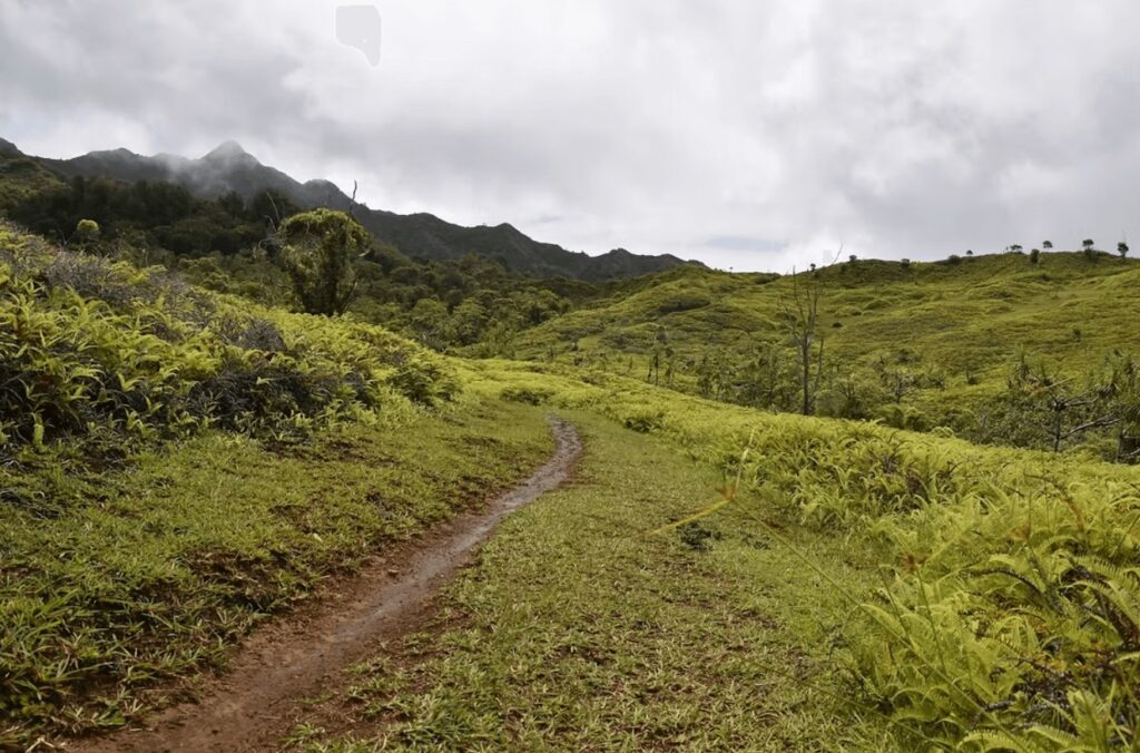 Best places to dive in French Polynesia: A walking trail leads through an island in the Marquesas