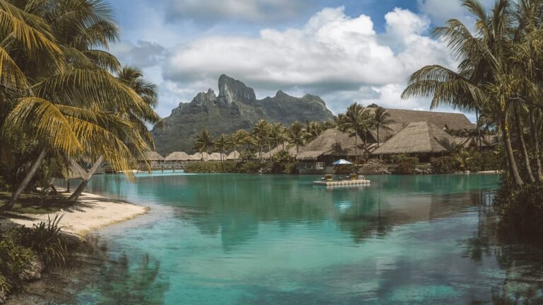 Diving in French Polynesia: Best dive sites + eco-friendly resorts