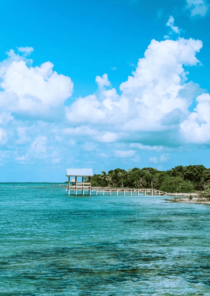 Scuba diving in Belize: Best dive sites + highly-rated dive resorts