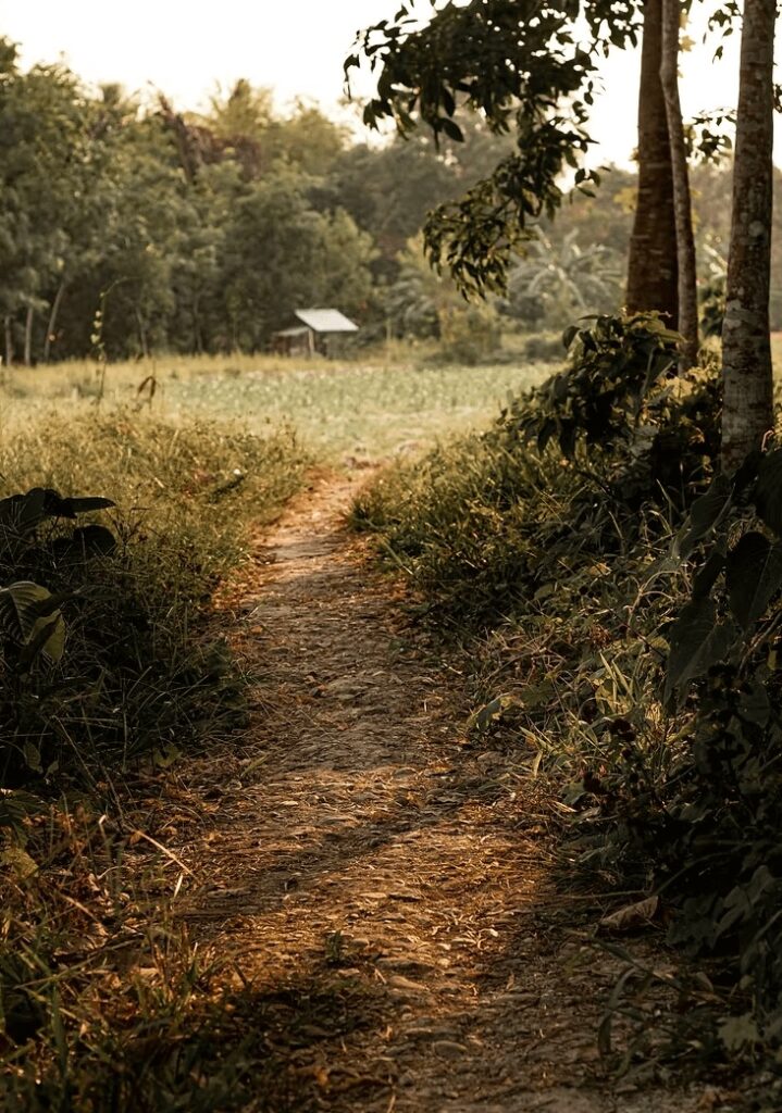 Scuba diving in the Derawan Islands: A trail leads through farmland in the Derawan archipelago