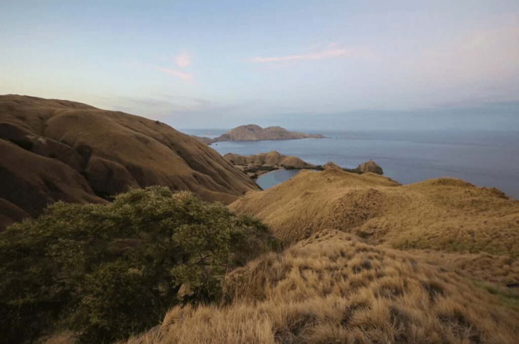 Best places to dive in Indonesia: Grass covers one of the islands in Komodo National Park