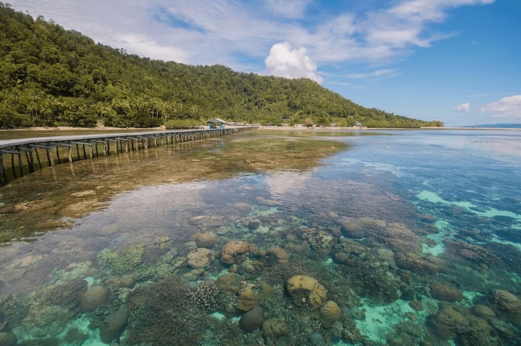 Best places to dive in Indonesia: A jetty extends above a shallow coral reef