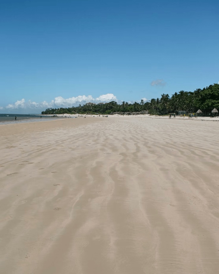 An idyllic beach on Kenya's Indian Ocean coastline - one of the best places to dive in Africa