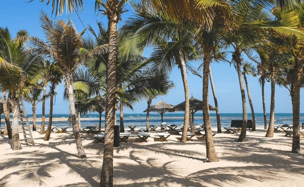 Palm trees dot a beach at one of the best places to scuba dive in Kenya