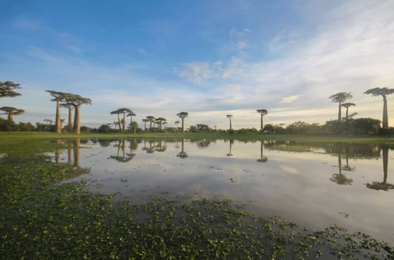 Scuba diving in Madagascar: Best dive sites + eco-friendly resorts