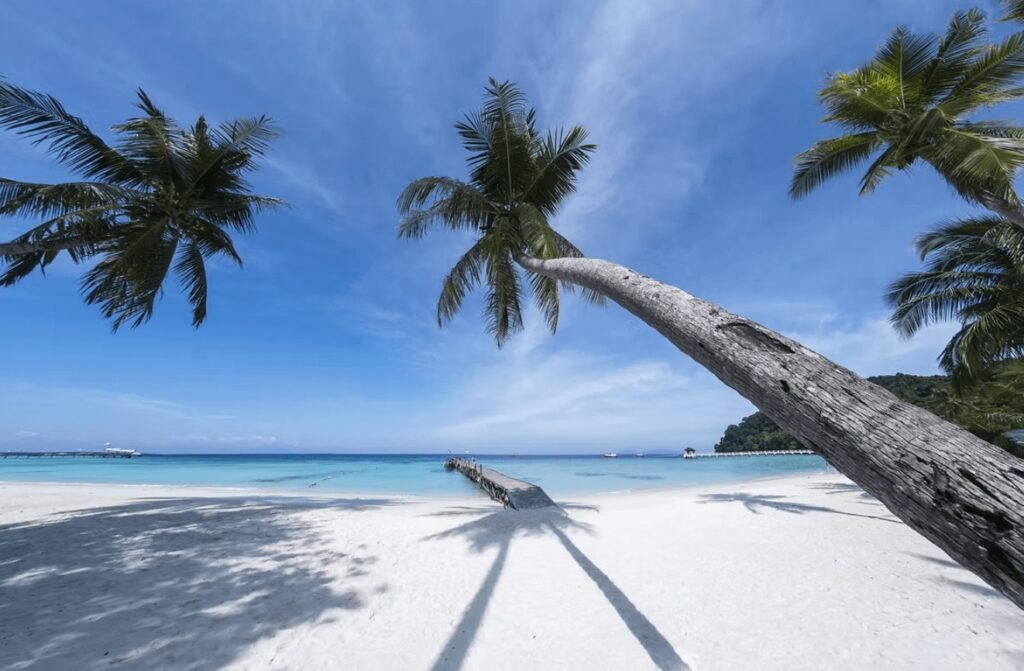 Palm trees above a white sandy beach beside the eco-friendly Summer Bay Resort on Lang Tengah Island