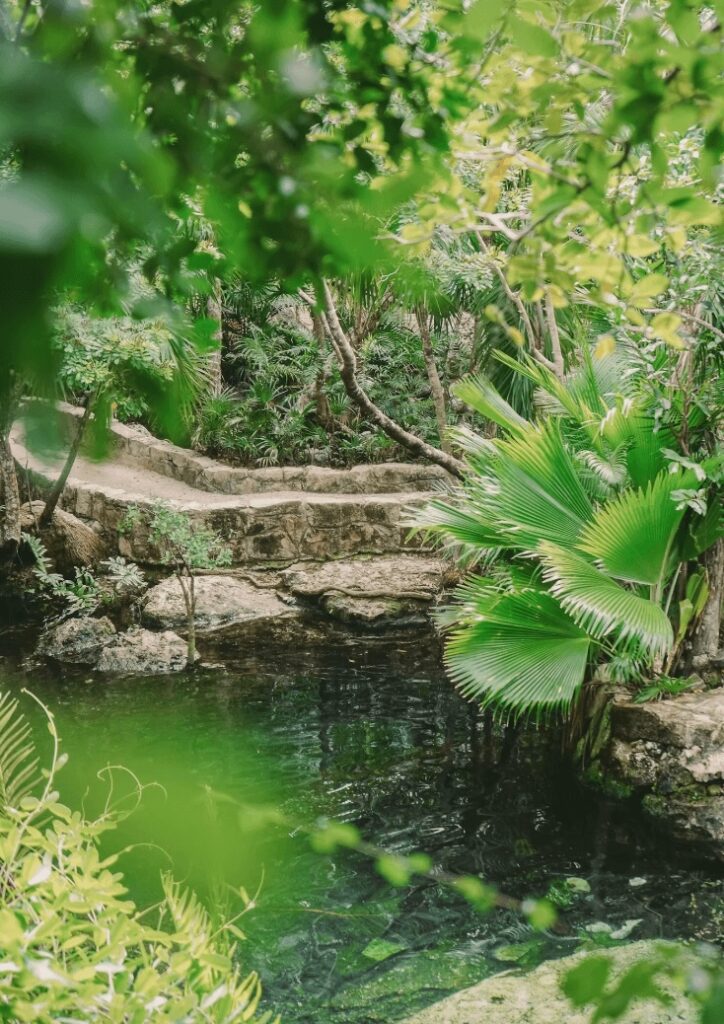 Exploring the cenotes is a highlight of scuba diving in Mexico