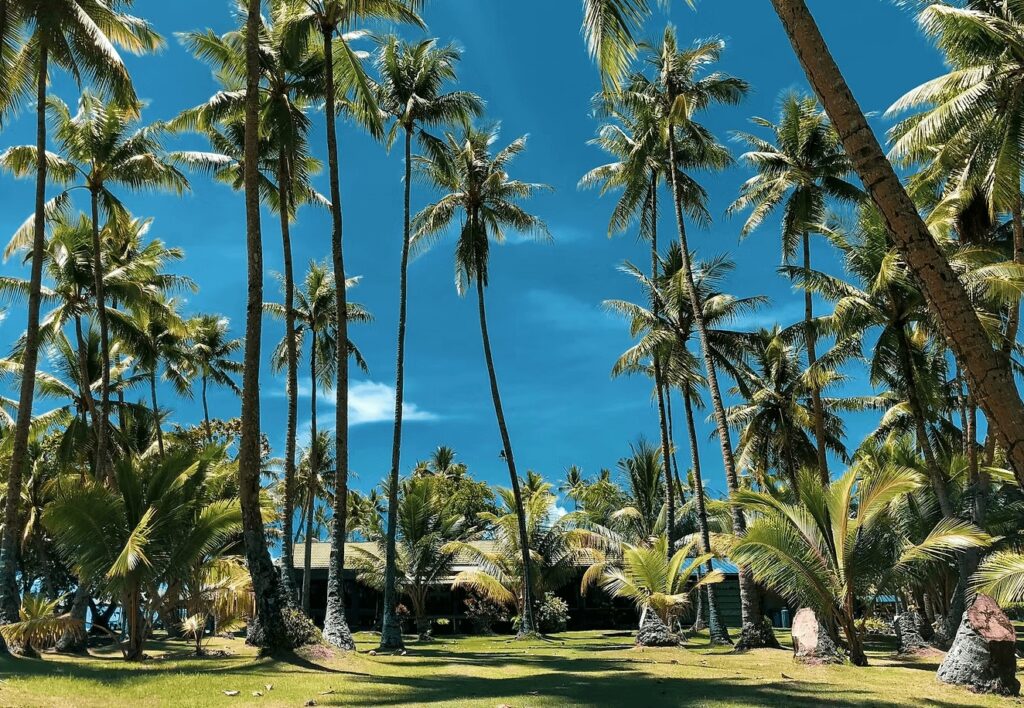 Best places to dive in Micronesia: Palm trees tower above a dive resort in Chuuk