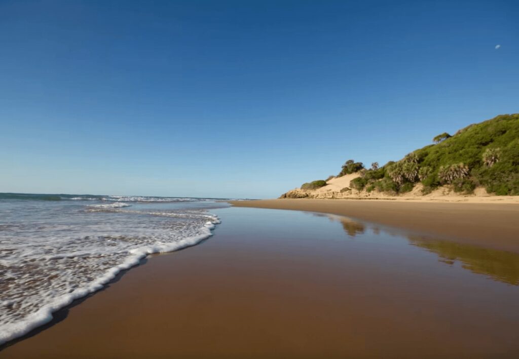 Scuba diving in Mozambique: Waves lap a beach backed by dunes