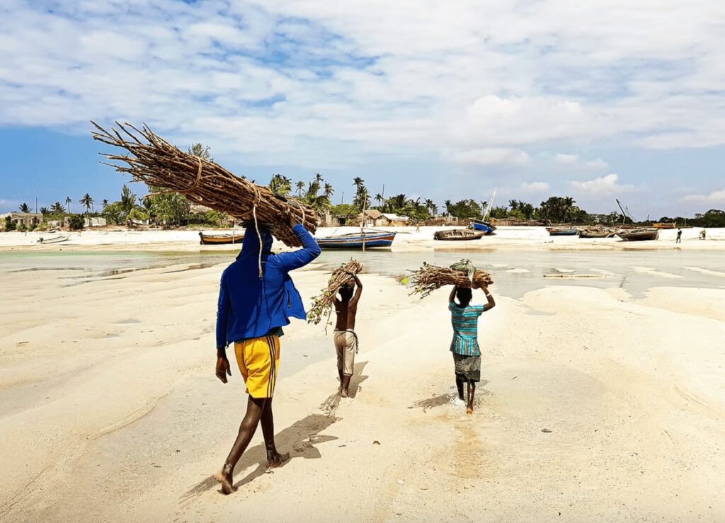 A man and two boys walking along a beach in Mozambique with firewood on their heads