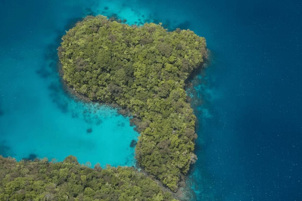 An aerial view of a forested island in Palau - one of the best places to dive in the Pacific