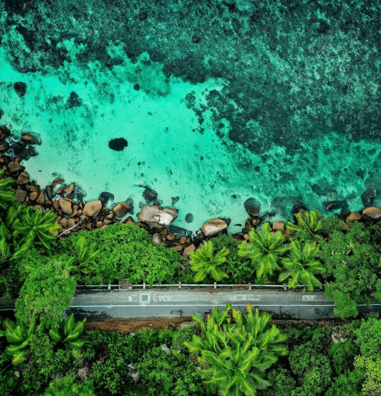 Scuba diving in Seychelles: 5 eco-friendly dive resorts