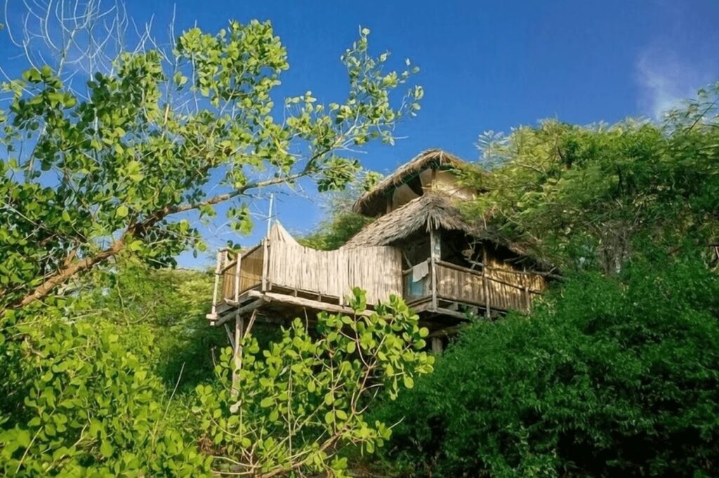 One of the eco-friendly treehouse bungalows at Chole Mjini 