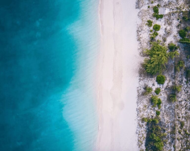 Diving in Turks and Caicos: Best dive sites and eco-friendly resorts