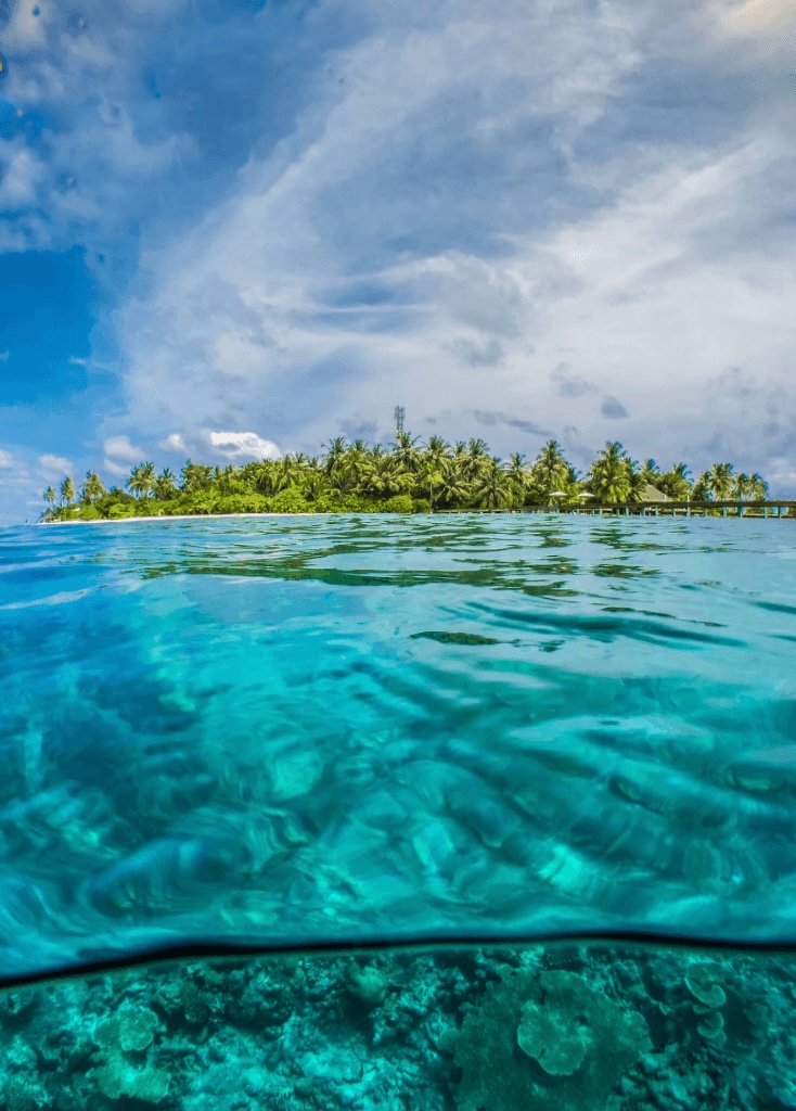 Scuba diving in the Maldives: Best dive spots + eco-friendly resorts