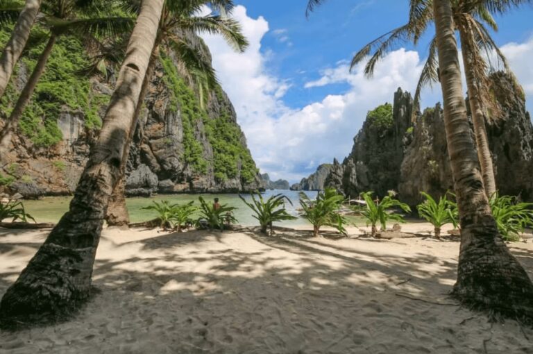 Scuba diving in the Philippines: Best dive spots