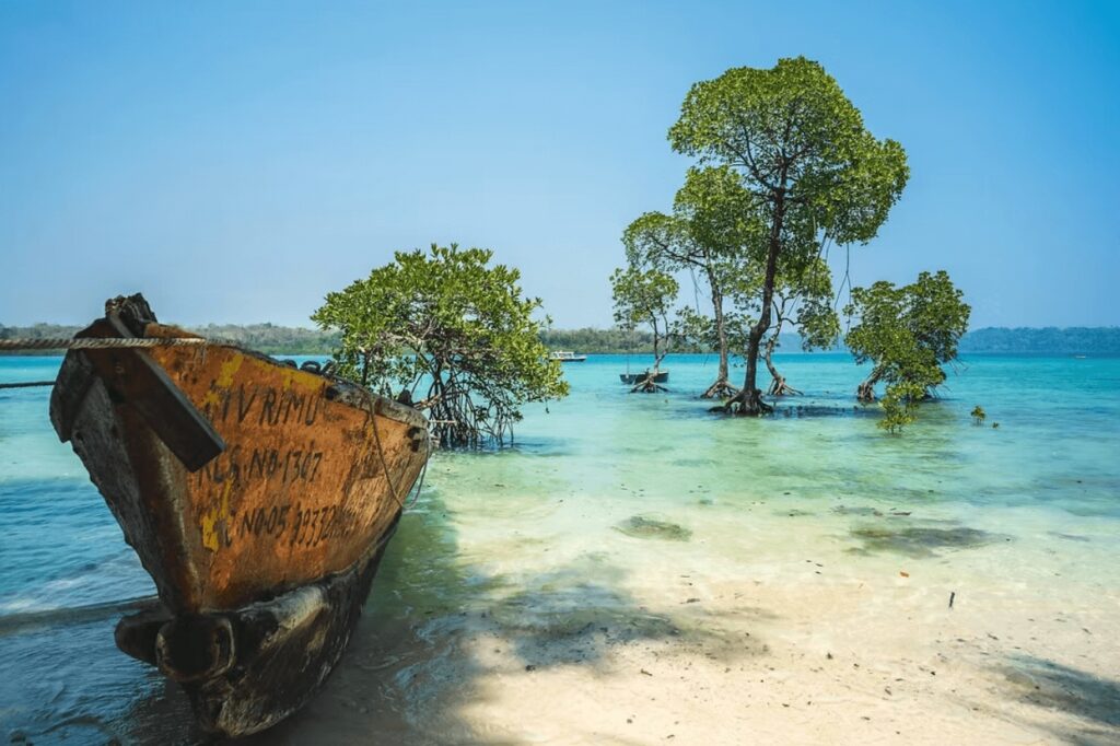 Surfing in the Andaman Islands: A boat moored beside mangrove trees in the Andamans
