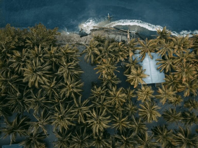 Surfing Papua New Guinea: Best surf spots + eco-friendly resorts